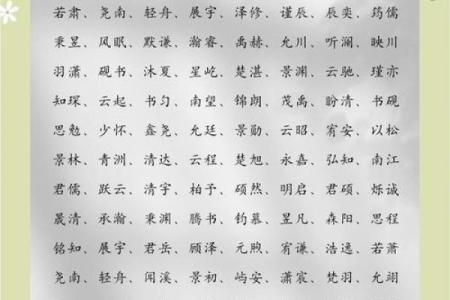 沈姓男孩名字大全-沈姓男孩起名字大全-沈姓名字大全姓名
