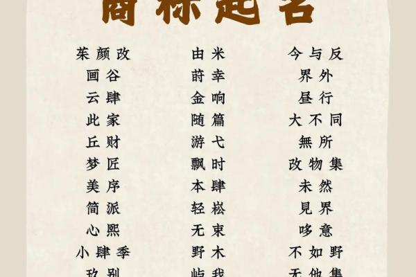 服装公司名字大全-名字大全姓名