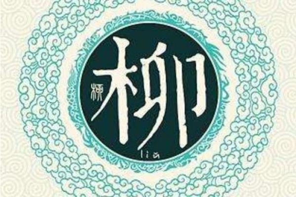 柳姓男孩名字大全-柳姓男孩起名字大全-柳姓名字大全姓名