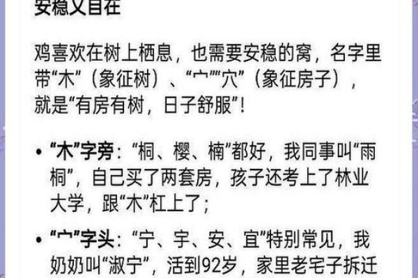 上午出生的属鸡男孩取名字适合用什么字姓名