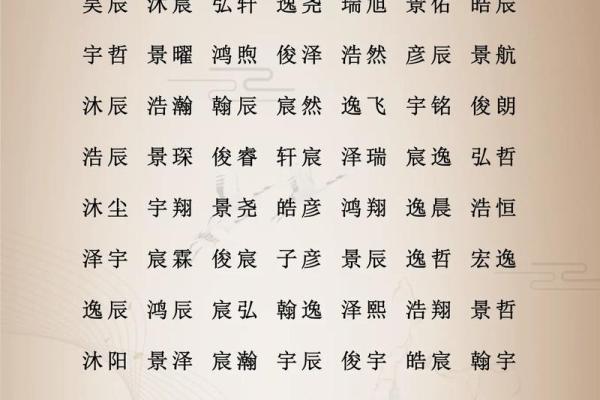 上午出生的属鸡男孩取名字适合用什么字姓名